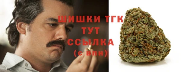 не бодяженный Новодвинск