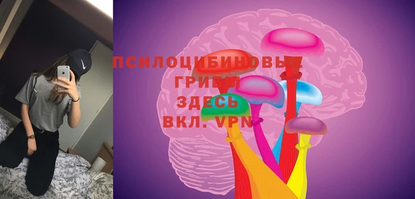 дурь Новозыбков