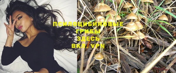каннабис Новокубанск